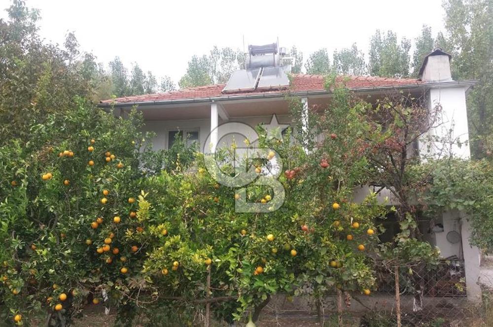 MUĞLA SEYDİKEMER'DE SATILIK TARIM ARAZİ HİSSESİ