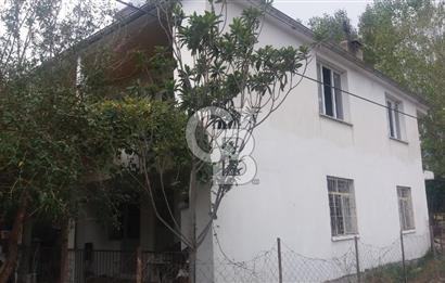 MUĞLA SEYDİKEMER'DE SATILIK TARIM ARAZİ HİSSESİ