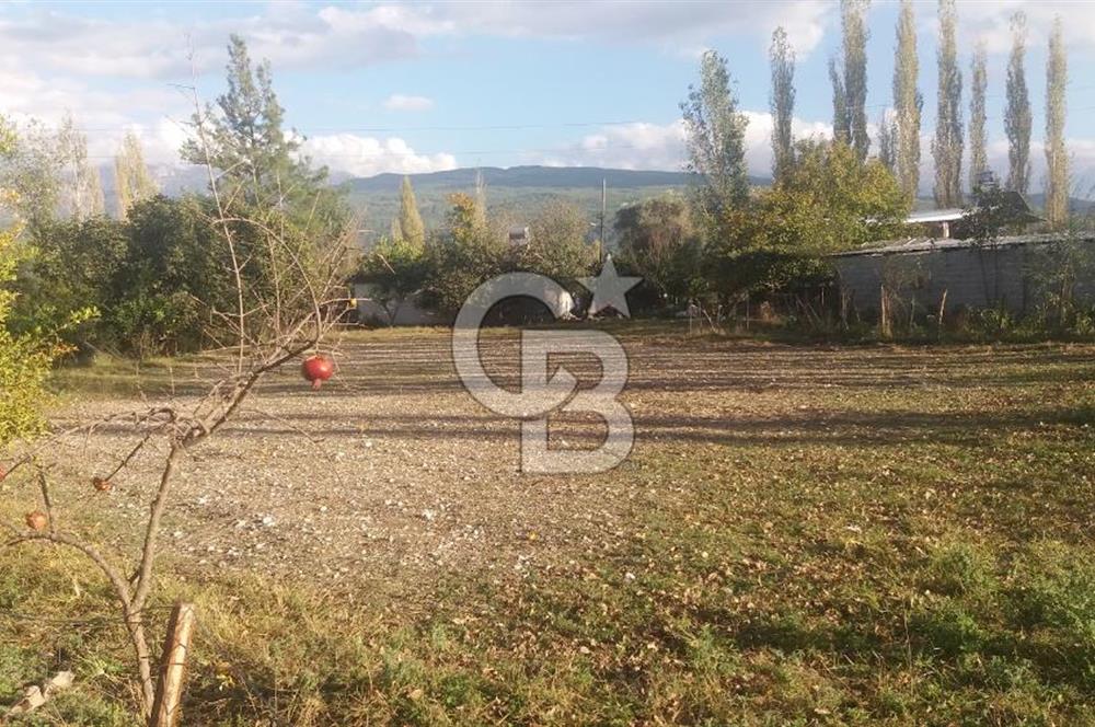 MUĞLA SEYDİKEMER'DE SATILIK TARIM ARAZİ HİSSESİ