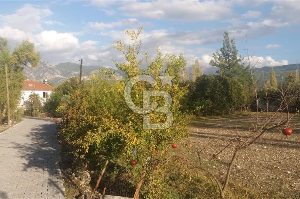 MUĞLA SEYDİKEMER'DE SATILIK TARIM ARAZİ HİSSESİ