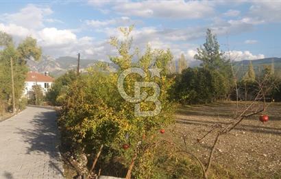 MUĞLA SEYDİKEMER'DE SATILIK TARIM ARAZİ HİSSESİ