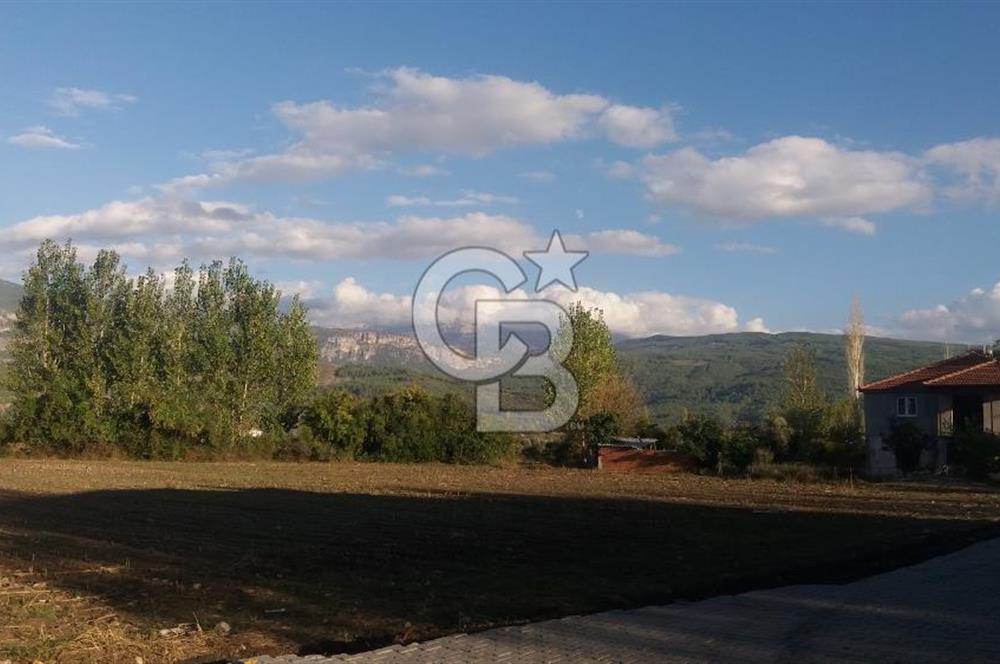 MUĞLA SEYDİKEMER'DE SATILIK TARIM ARAZİ HİSSESİ