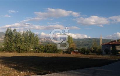 MUĞLA SEYDİKEMER'DE SATILIK TARIM ARAZİ HİSSESİ