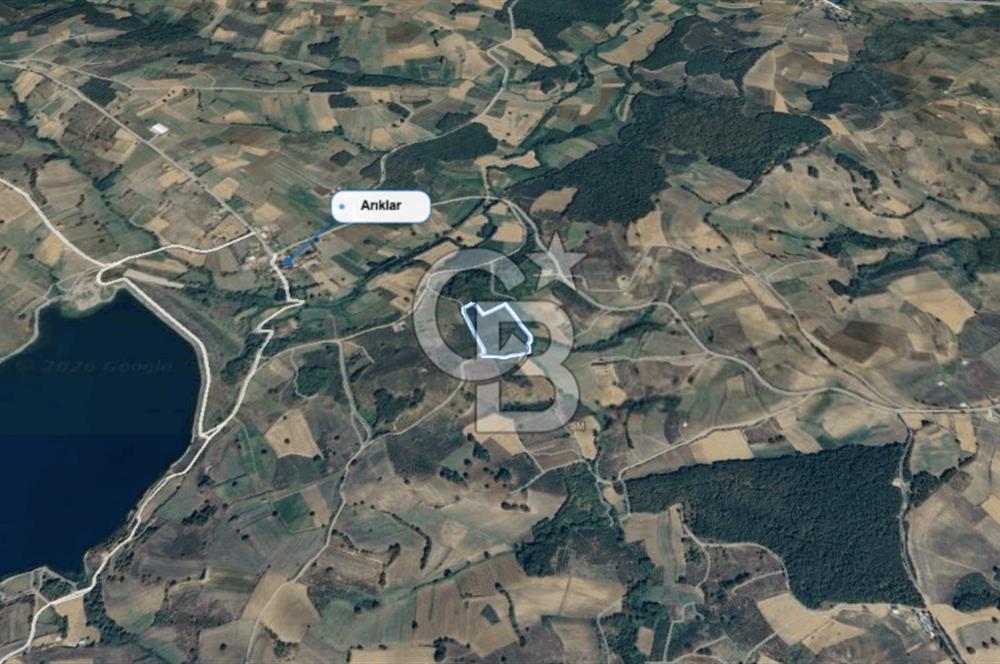 KANDIRA MÜLKÜŞEHSUVAR’DA MANZARALI SATILIK FINDIK BAHÇESİ VE TARLA 