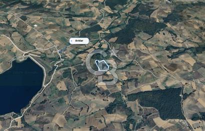 KANDIRA MÜLKÜŞEHSUVAR’DA MANZARALI SATILIK FINDIK BAHÇESİ VE TARLA 