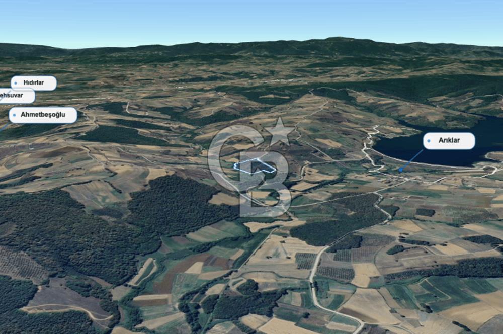 KANDIRA MÜLKÜŞEHSUVAR’DA MANZARALI SATILIK FINDIK BAHÇESİ VE TARLA 