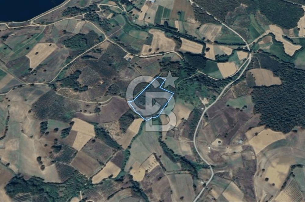 KANDIRA MÜLKÜŞEHSUVAR’DA MANZARALI SATILIK FINDIK BAHÇESİ VE TARLA 