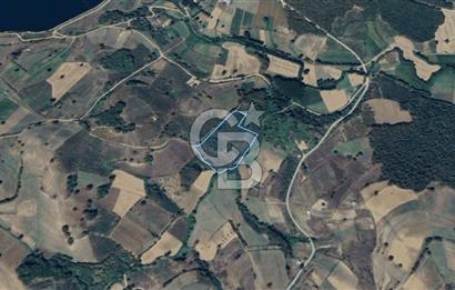 KANDIRA MÜLKÜŞEHSUVAR’DA MANZARALI SATILIK FINDIK BAHÇESİ VE TARLA 