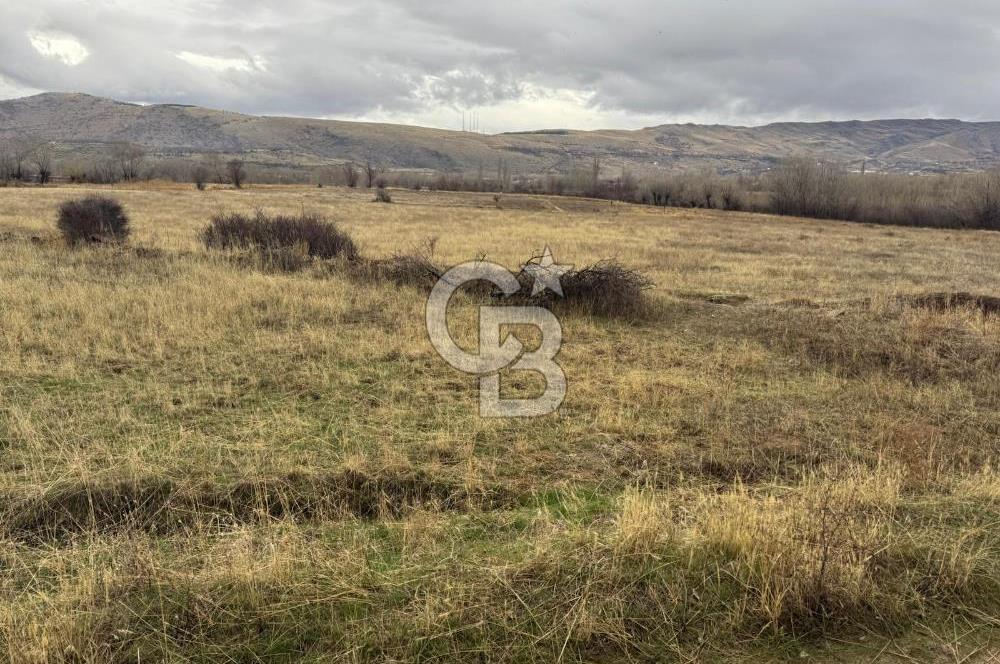 COLDWELL BANKER SAFİR'den DOĞANŞEHİR de SATILIK TARLA