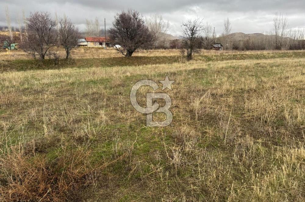 COLDWELL BANKER SAFİR'den DOĞANŞEHİR de SATILIK TARLA