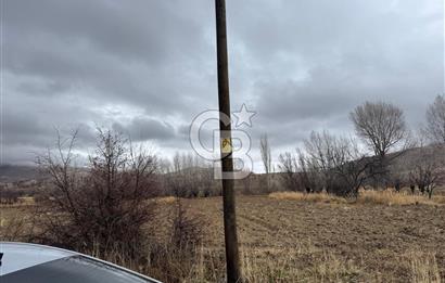 COLDWELL BANKER SAFİR'den DOĞANŞEHİR de SATILIK TARLA