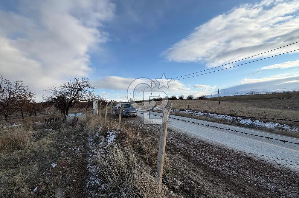 COLDWELL BANKER SAFİR'den ESKİMALATYA da SATILIK KAYISI BAHÇESİ