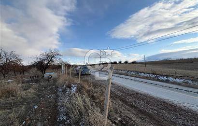 COLDWELL BANKER SAFİR'den ESKİMALATYA da SATILIK KAYISI BAHÇESİ