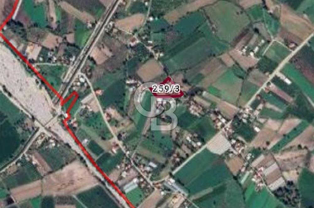 MUĞLA SEYDİKEMER'DE SATILIK TARIM ARAZİ HİSSESİ