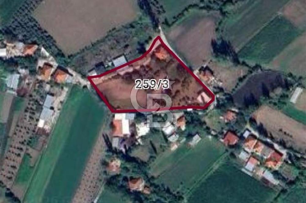 MUĞLA SEYDİKEMER'DE SATILIK TARIM ARAZİ HİSSESİ