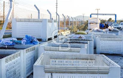 Muğla Yatağan Hisarardında Satılık Zeytinyağı Fabrikası