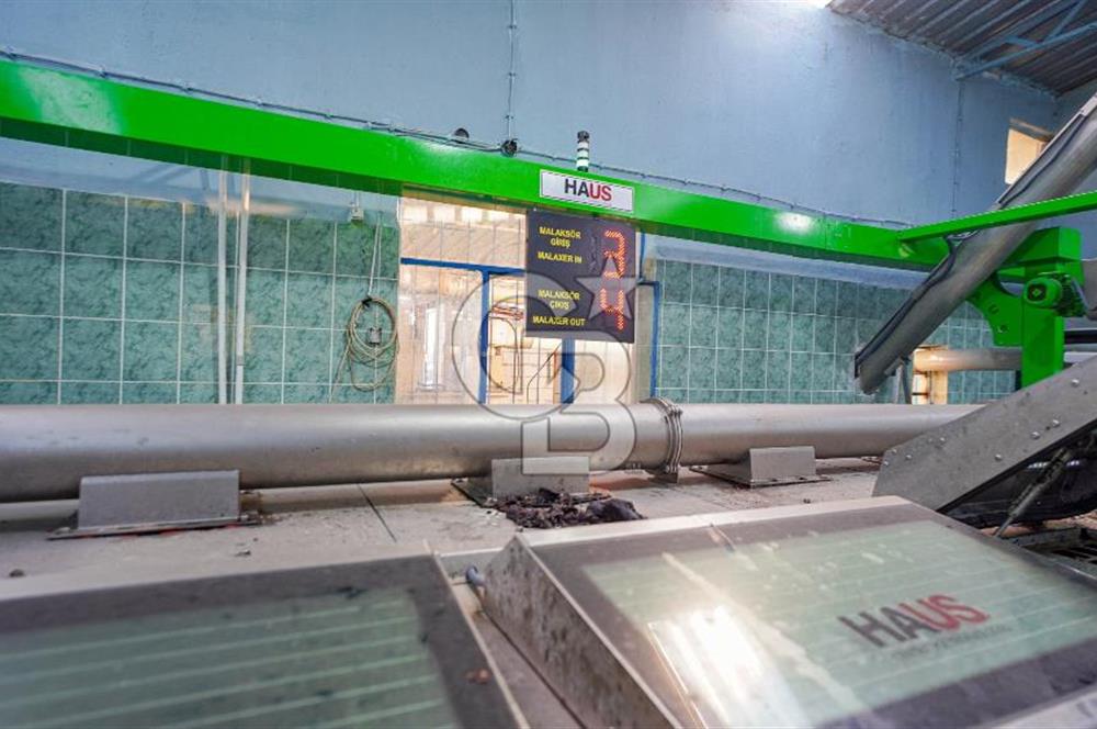 Muğla Yatağan Hisarardında Satılık Zeytinyağı Fabrikası