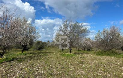 Datça Karaköy’de Eşsiz Yatırım Fırsatı – 6.043 m² Satılık Arsa