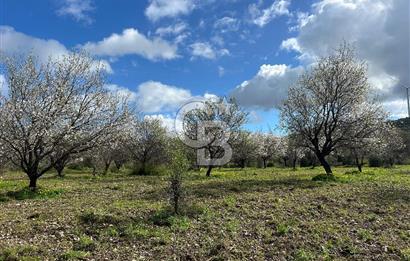 Datça Karaköy’de Eşsiz Yatırım Fırsatı – 6.043 m² Satılık Arsa