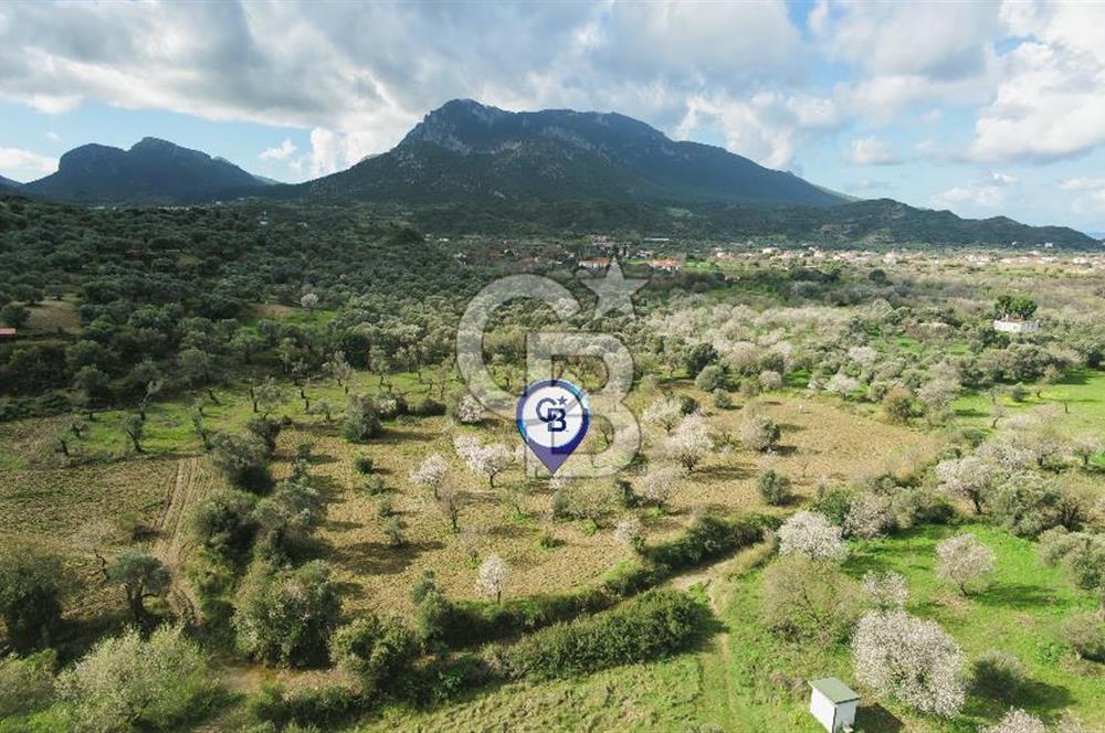 Datça Karaköy’de Eşsiz Yatırım Fırsatı – 6.043 m² Satılık Arsa