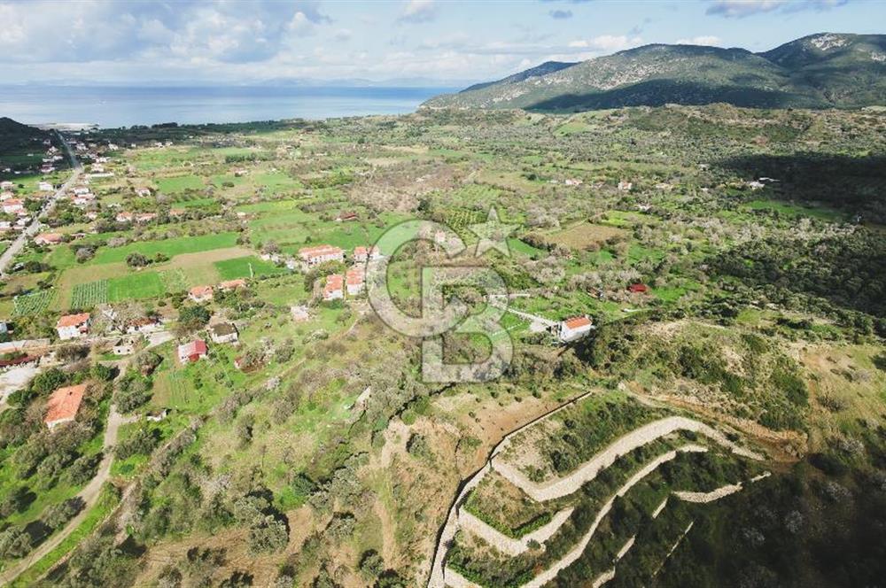 Datça Karaköy’de Eşsiz Yatırım Fırsatı – 6.043 m² Satılık Arsa