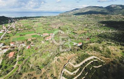 Datça Karaköy’de Eşsiz Yatırım Fırsatı – 6.043 m² Satılık Arsa