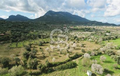 Datça Karaköy’de Eşsiz Yatırım Fırsatı – 6.043 m² Satılık Arsa