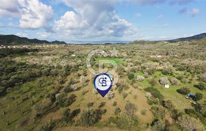 Datça Karaköy’de Eşsiz Yatırım Fırsatı – 6.043 m² Satılık Arsa