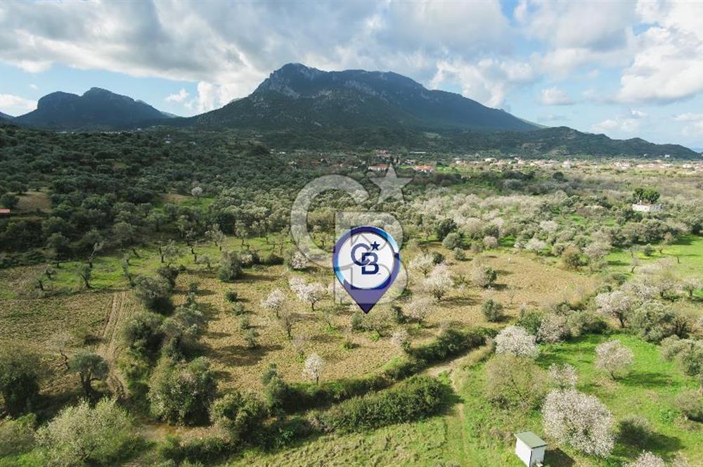 Datça Karaköy’de Eşsiz Yatırım Fırsatı – 6.043 m² Satılık Arsa