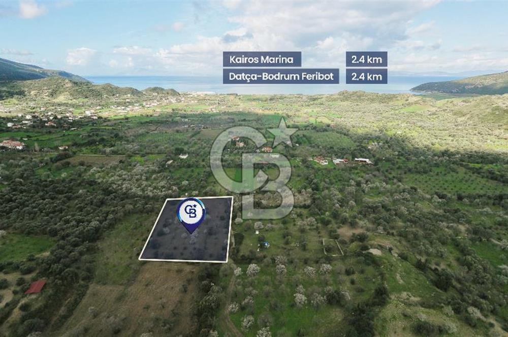 Datça Karaköy’de Eşsiz Yatırım Fırsatı – 6.043 m² Satılık Arsa