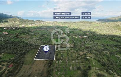 Datça Karaköy’de Eşsiz Yatırım Fırsatı – 6.043 m² Satılık Arsa
