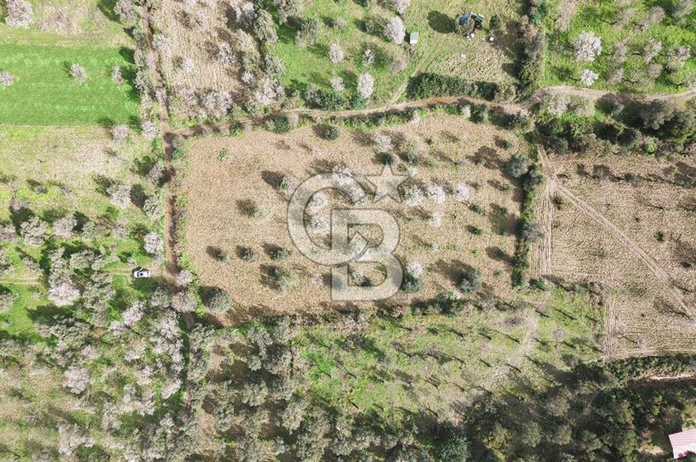 Datça Karaköy’de Eşsiz Yatırım Fırsatı – 6.043 m² Satılık Arsa