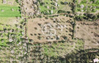 Datça Karaköy’de Eşsiz Yatırım Fırsatı – 6.043 m² Satılık Arsa