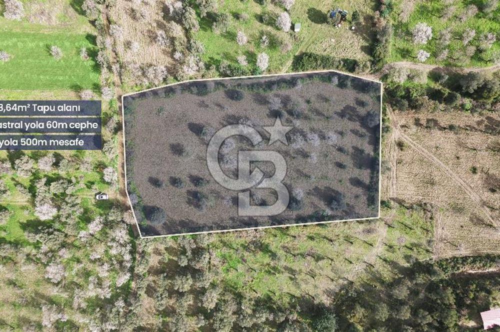 Datça Karaköy’de Eşsiz Yatırım Fırsatı – 6.043 m² Satılık Arsa