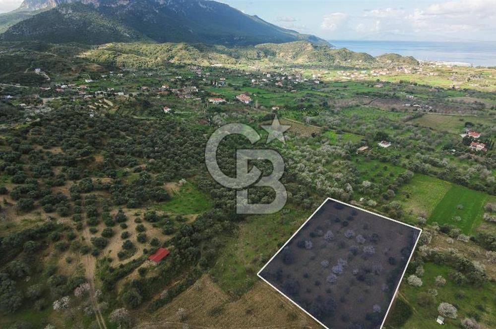 Datça Karaköy’de Eşsiz Yatırım Fırsatı – 6.043 m² Satılık Arsa