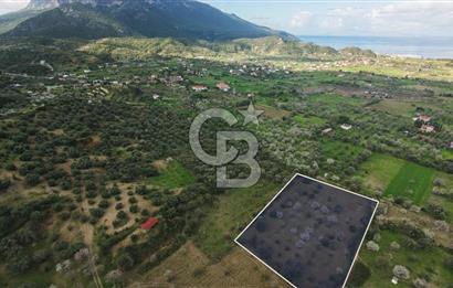 Datça Karaköy’de Eşsiz Yatırım Fırsatı – 6.043 m² Satılık Arsa