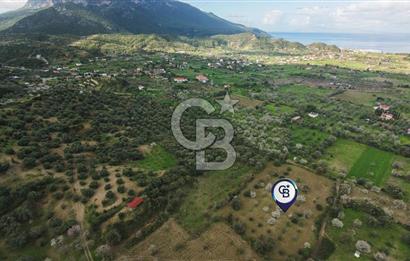 Datça Karaköy’de Eşsiz Yatırım Fırsatı – 6.043 m² Satılık Arsa