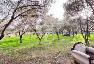 İzmir Kemalpaşa Sütçüler Mh. Müstakil Tapulu Arsa CB PH - 2 - 334397