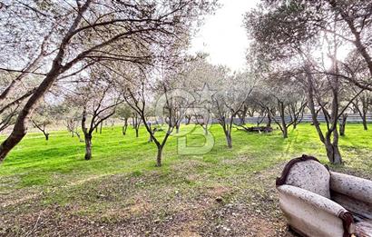 İzmir Kemalpaşa Sütçüler Mh. Müstakil Tapulu Arsa CB PH