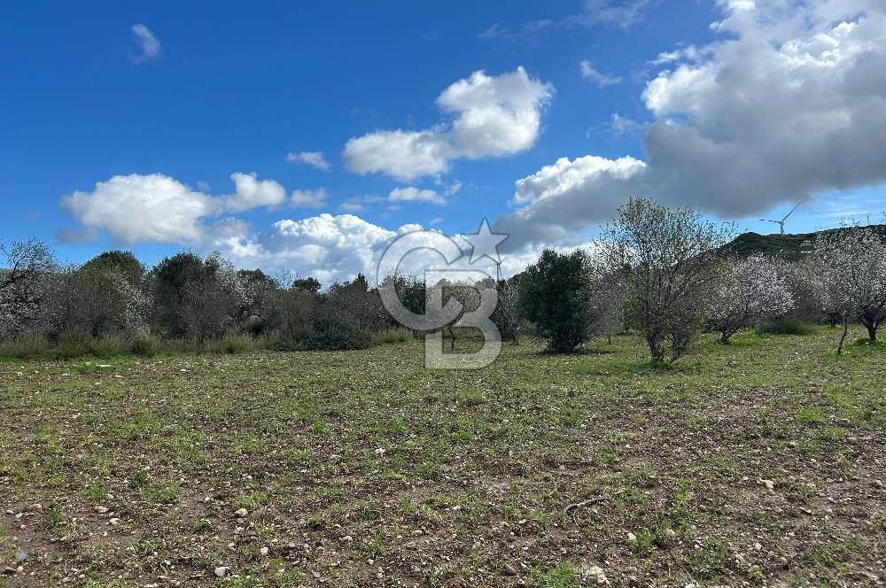 Datça Karaköy’de Eşsiz Yatırım Fırsatı – 6.043 m² Satılık Arsa