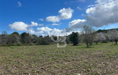 Datça Karaköy’de Eşsiz Yatırım Fırsatı – 6.043 m² Satılık Arsa