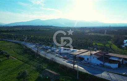 Muğla Yatağan Hisarardında Satılık Zeytinyağı Fabrikası