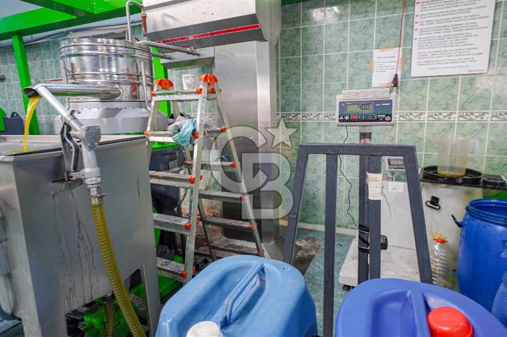 Muğla Yatağan Hisarardında Satılık Zeytinyağı Fabrikası