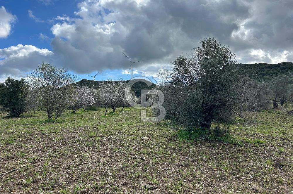 Datça Karaköy’de Eşsiz Yatırım Fırsatı – 6.043 m² Satılık Arsa