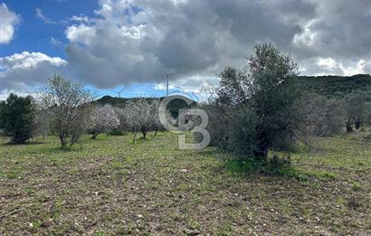 Datça Karaköy’de Eşsiz Yatırım Fırsatı – 6.043 m² Satılık Arsa