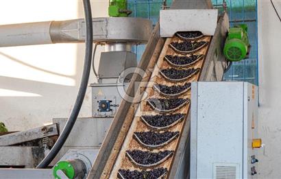 Muğla Yatağan Hisarardında Satılık Zeytinyağı Fabrikası