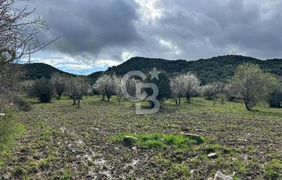 Datça Karaköy’de Eşsiz Yatırım Fırsatı – 6.043 m² Satılık Arsa