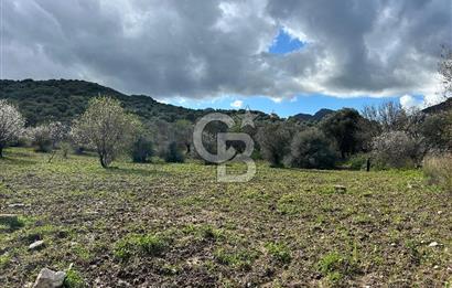 Datça Karaköy’de Eşsiz Yatırım Fırsatı – 6.043 m² Satılık Arsa