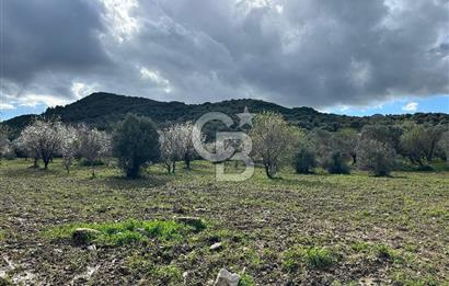 Datça Karaköy’de Eşsiz Yatırım Fırsatı – 6.043 m² Satılık Arsa