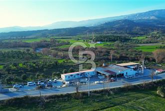 Muğla Yatağan Hisarardında Satılık Zeytinyağı Fabrikası - 2 - 334403